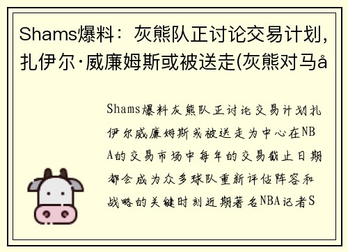 Shams爆料：灰熊队正讨论交易计划，扎伊尔·威廉姆斯或被送走(灰熊对马刺聚胜顽球汇)